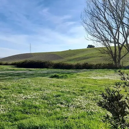 Whole In Surrounded By *